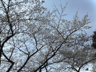 状況的にも結構厳しい感じだったしね